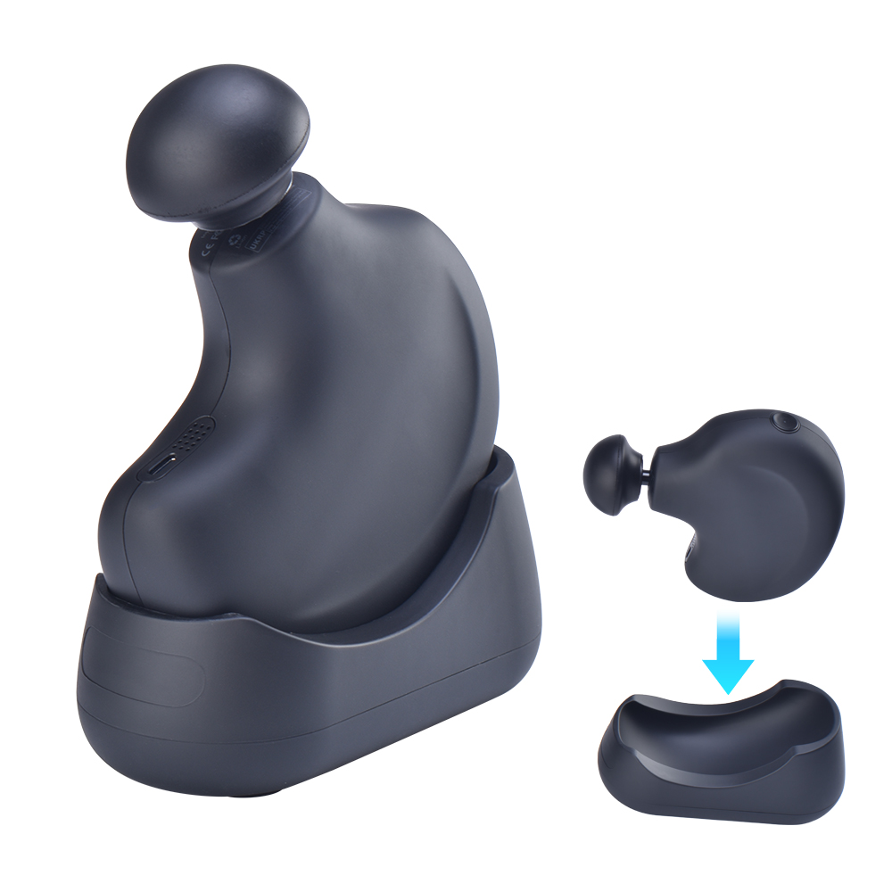 RTS Hochwertige Professionelle – Massage Gun Bewertung und Preis