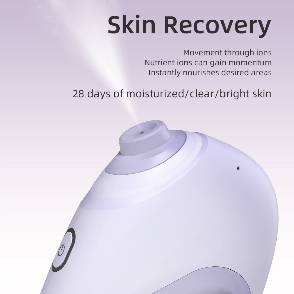 Nano Gesichts Sprayer Wasser D – Face Steamer Bewertung und Preis